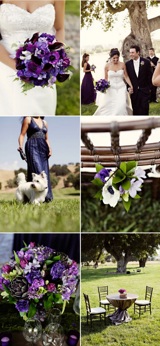 Свадьба в фиолетовом цвете Свадьба в фиолетовом цвете