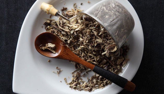 Эхинацея Эхинацея