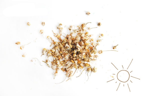 Осветление волос домашними средствами: цветки ромашки Осветление волос домашними средствами: цветки ромашки