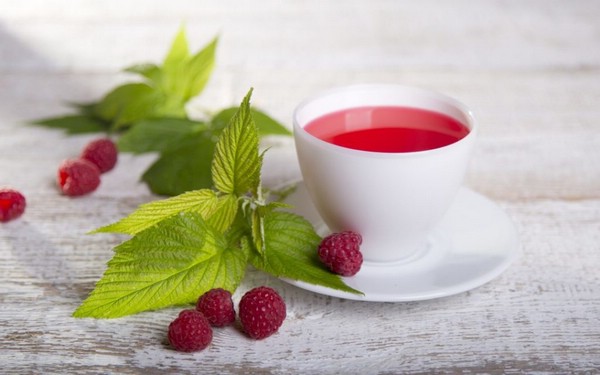 чай из малиновых листьев