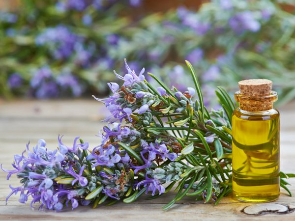 Масло розмарина