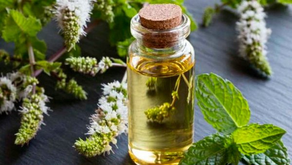 Мятное масло